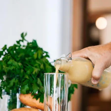 Yonik Farm - Detox Retreat In Nature