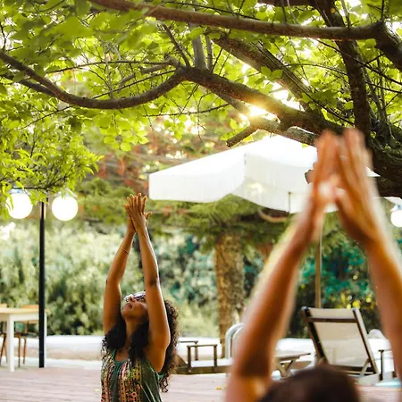 Yonik Farm - Detox Retreat In Nature *