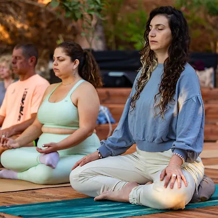 Yonik Farm - Detox Retreat In Nature