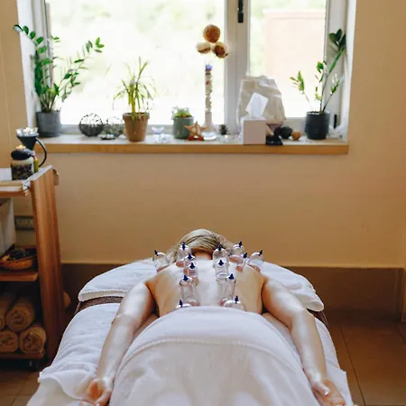 Lodge Yonik Farm - Detox Retreat In Nature