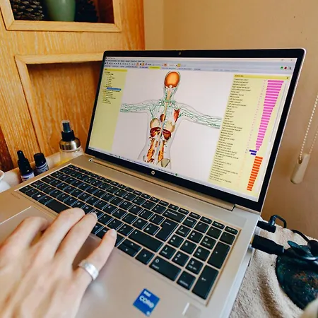 Yonik Farm - Detox Retreat In Nature Lodge