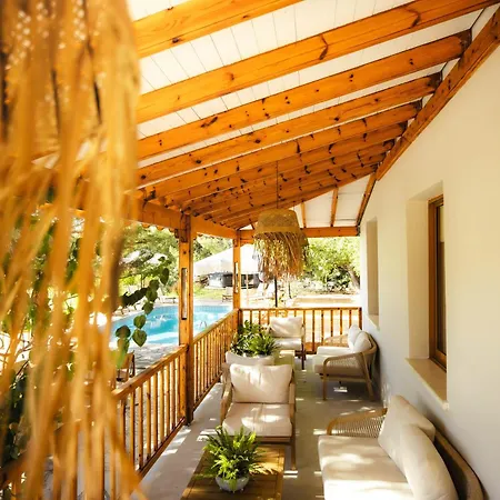 롯지 Yonik Farm - Detox Retreat In Nature *