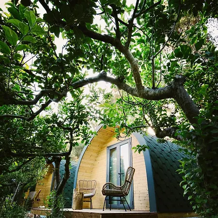 Yonik Farm - Detox Retreat In Nature Lodge Miliou