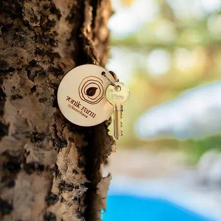 Yonik Farm - Detox Retreat In Nature Lodge Miliou