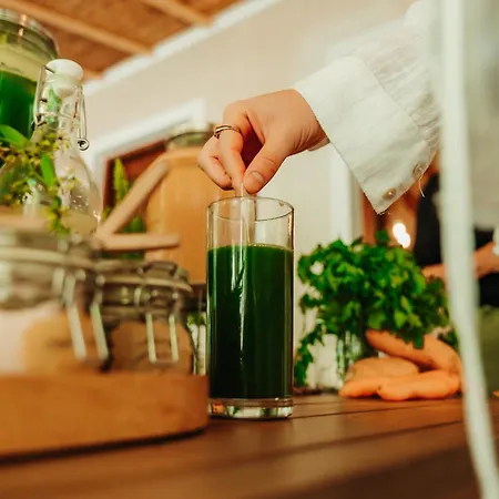 Lodge Yonik Farm - Detox Retreat In Nature *