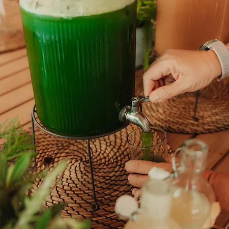 Yonik Farm - Detox Retreat In Nature 롯지 *