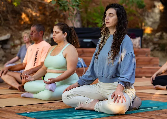 Yonik Farm - Detox Retreat In Nature