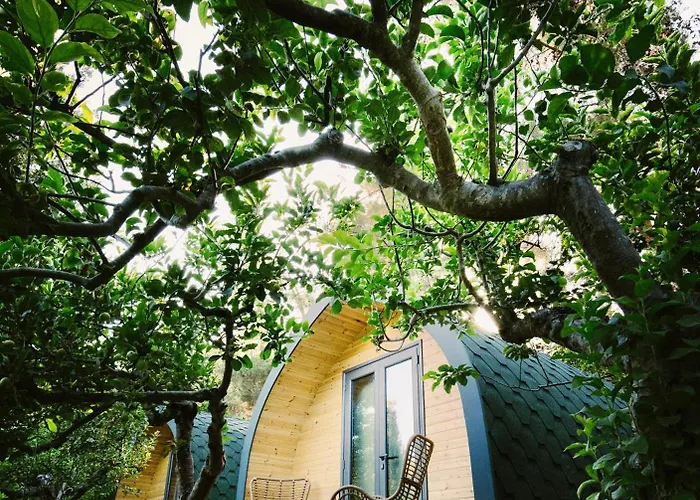 Yonik Farm - Detox Retreat In Nature ロッジ ミリオウ