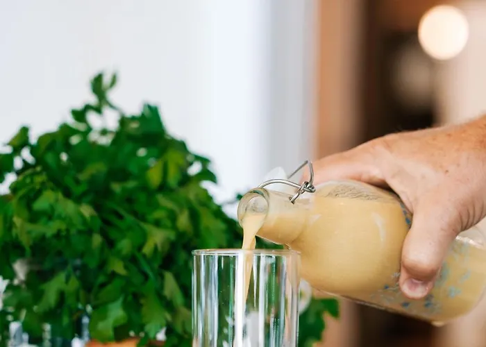 Yonik Farm - Detox Retreat In Nature